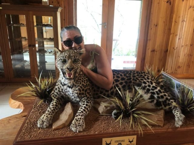 Lady standing behind a ornament cheetah