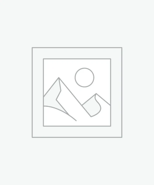 Uncategorized